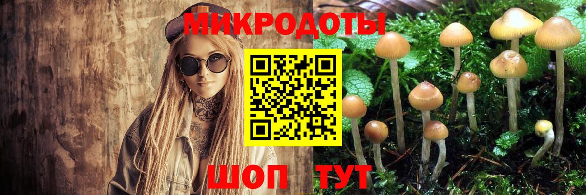 Псилоцибиновые грибы GOLDEN TEACHER  Галлюциногенные грибы Magic Shrooms  Пугачёв  Вход с VPN 