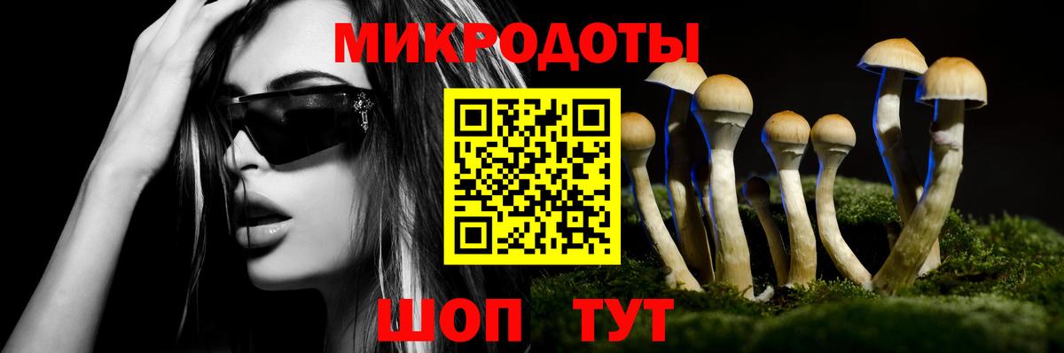 Псилоцибиновые грибы мухоморы Пугачёв