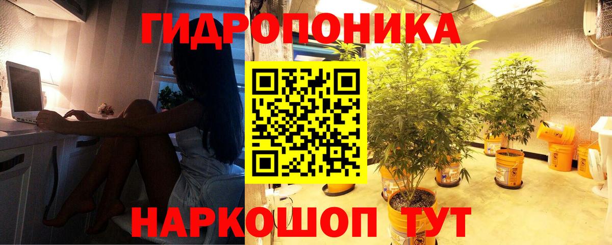 Марихуана планчик Пугачёв
